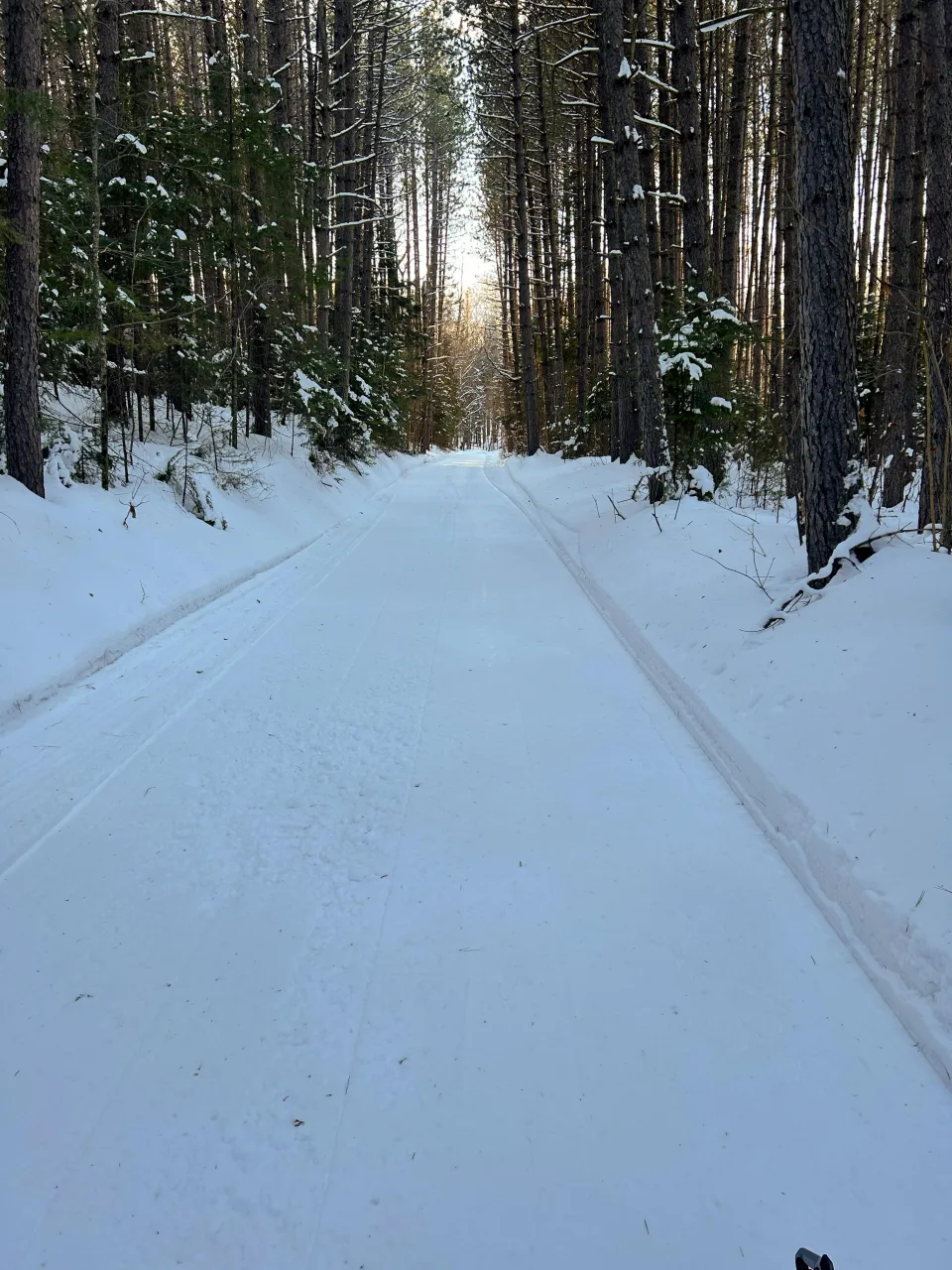 A snow-covered trail running through dense Ontario forest.