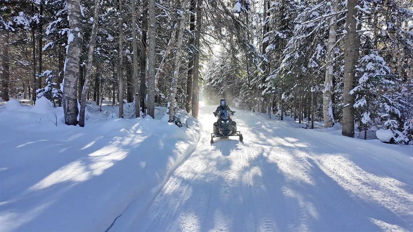 A snowmobiler rides along a snow-covered forest trail in an FCMQ photograph.