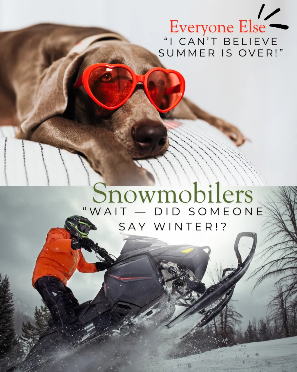 Whitecourt Trailblazers 2026 snowmobile season promotional graphic
